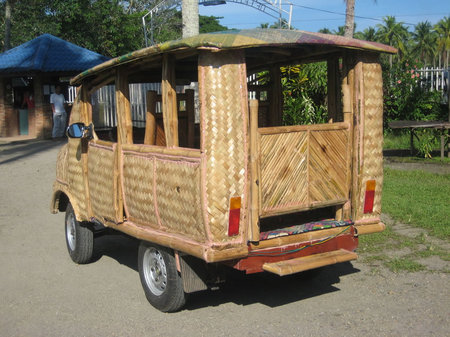 Bamboo_Taxi2.jpg