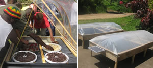Fruit-bearing-solar-crop-dryer1.jpg