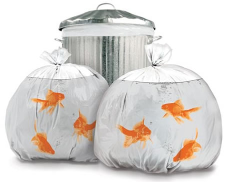 Goldfish_Trash_bags.jpg