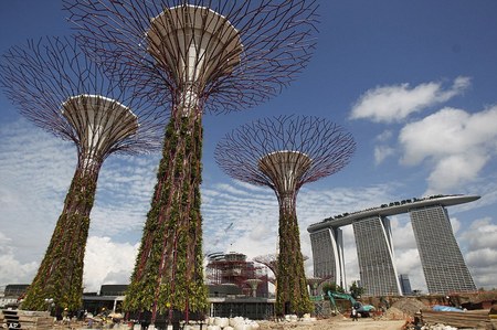 Singapore-Supertree-2.jpg