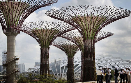 Singapore-Supertree-3.jpg
