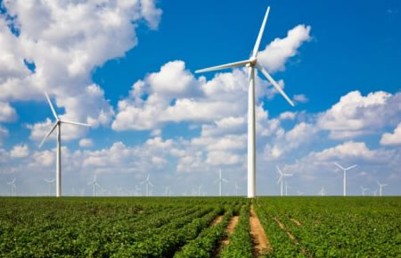 Wind-turbines-help-crops.jpg