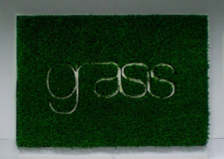 grass5.jpg