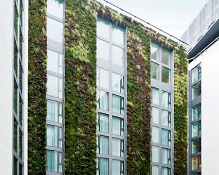 mint-hotel-green-wall.jpg