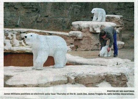 robotic-polar-bear-st-louis-zoo1.jpg